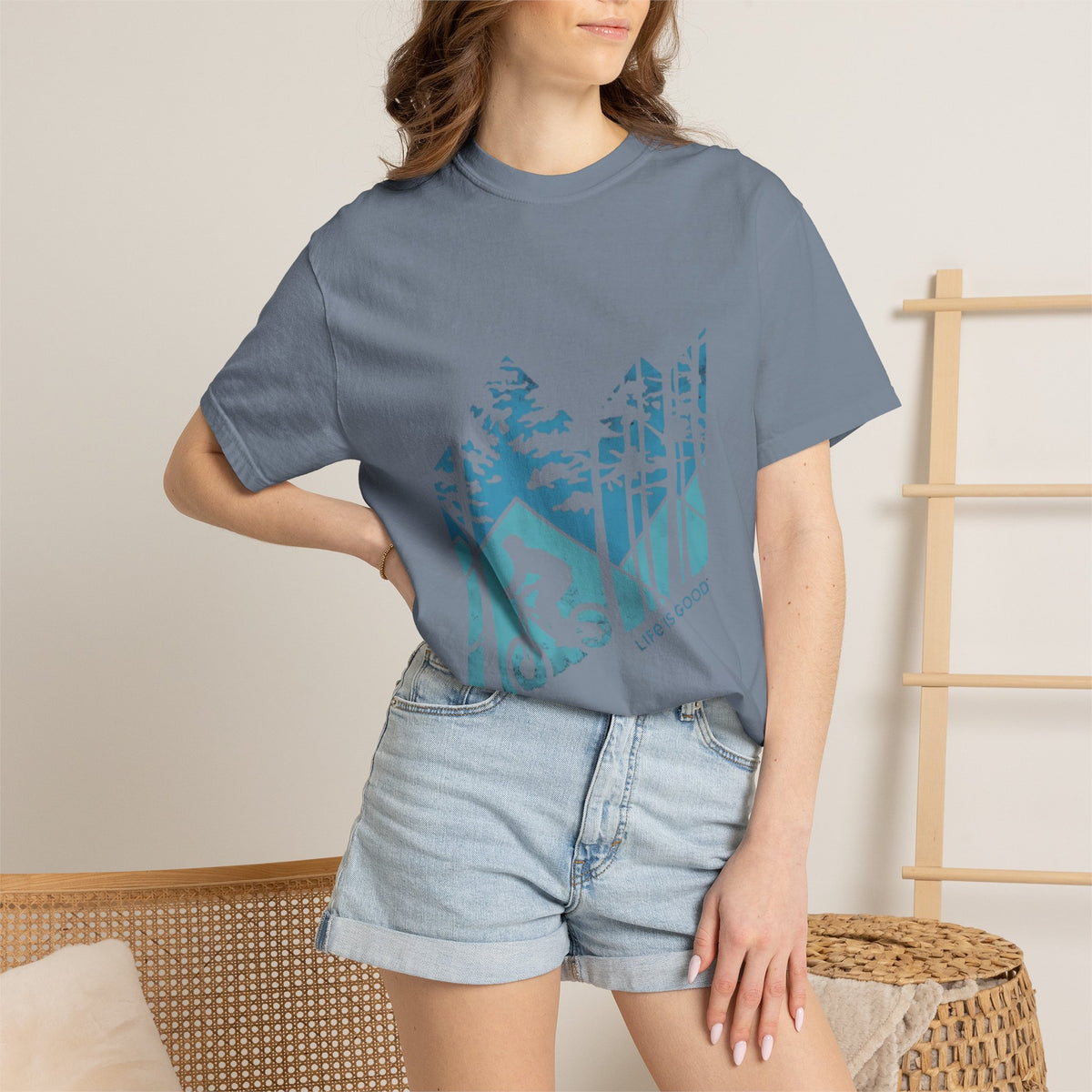 Denali National Park Graphic Tee