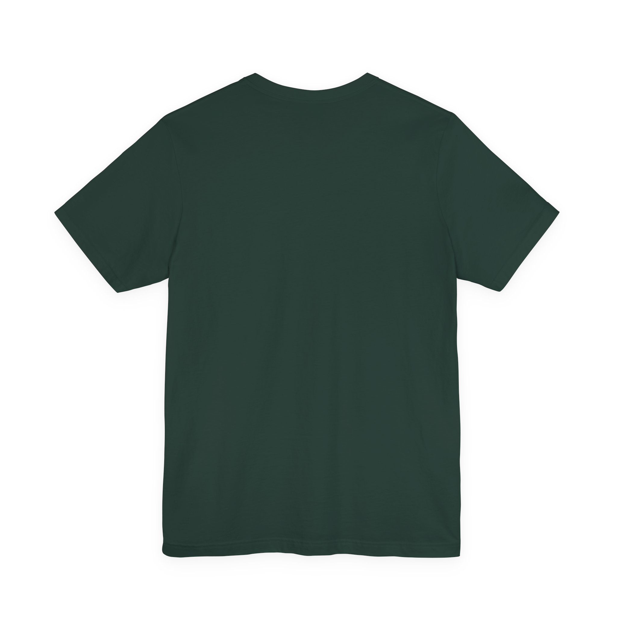 Denali Mountain Retro Stripe T-Shirt | Bella+Canvas 3001 | MD18 - Image 6