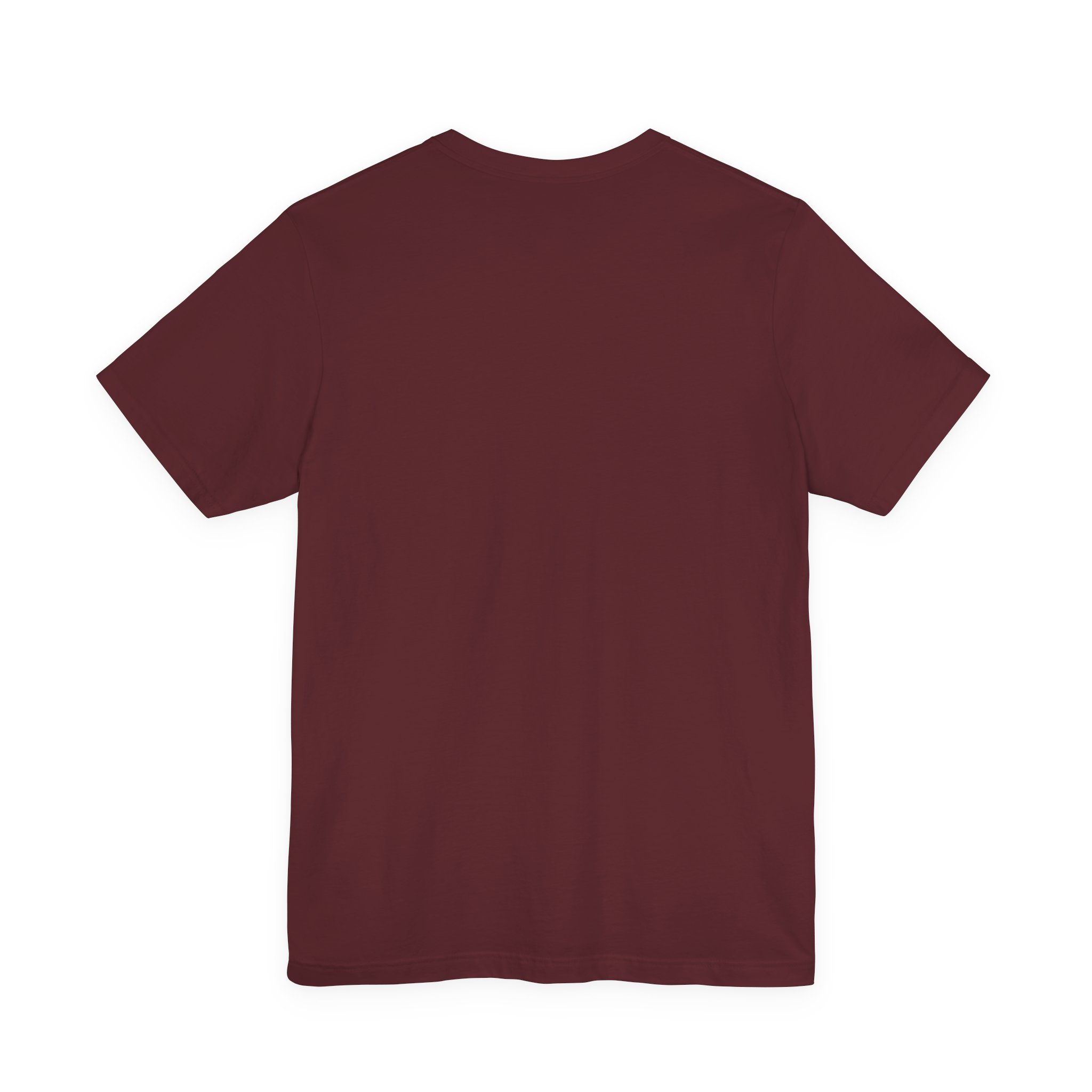 Denali Mountain Retro Stripe T-Shirt | Bella+Canvas 3001 | MD18 - Image 18