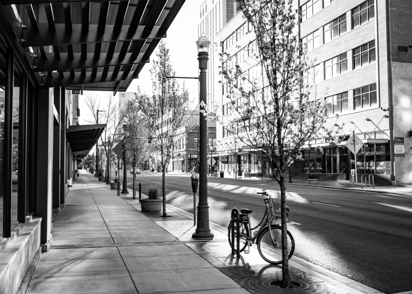 A quiet city street framed by modern buildings