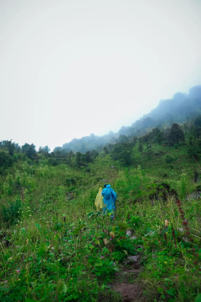 Two walkers following a path through a misty green hillside
