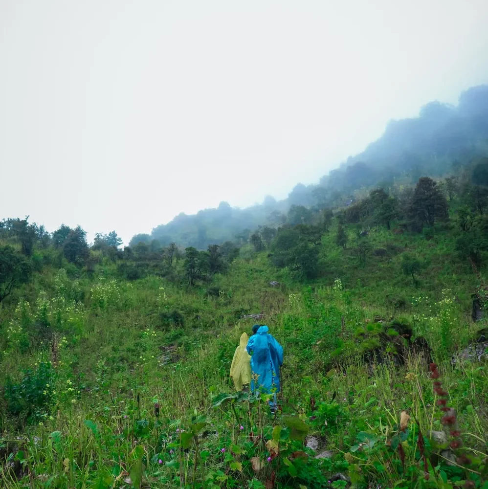 Two walkers following a path through a misty green hillside